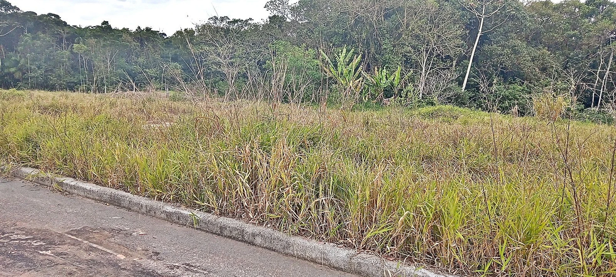 Terreno 360m², Bairro Nova São José - Foto 7