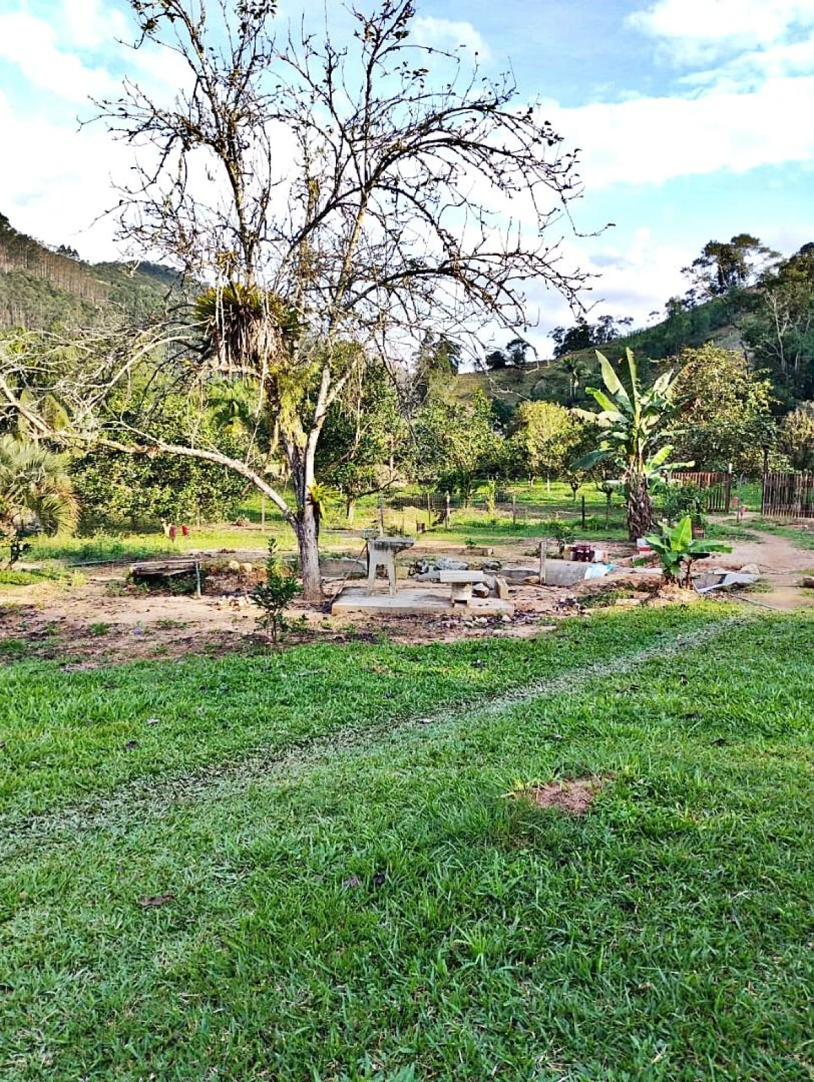 Sítio com 2 Dormitórios à Venda, 142000 m² - Angelina - Angelina/SC - Foto 16