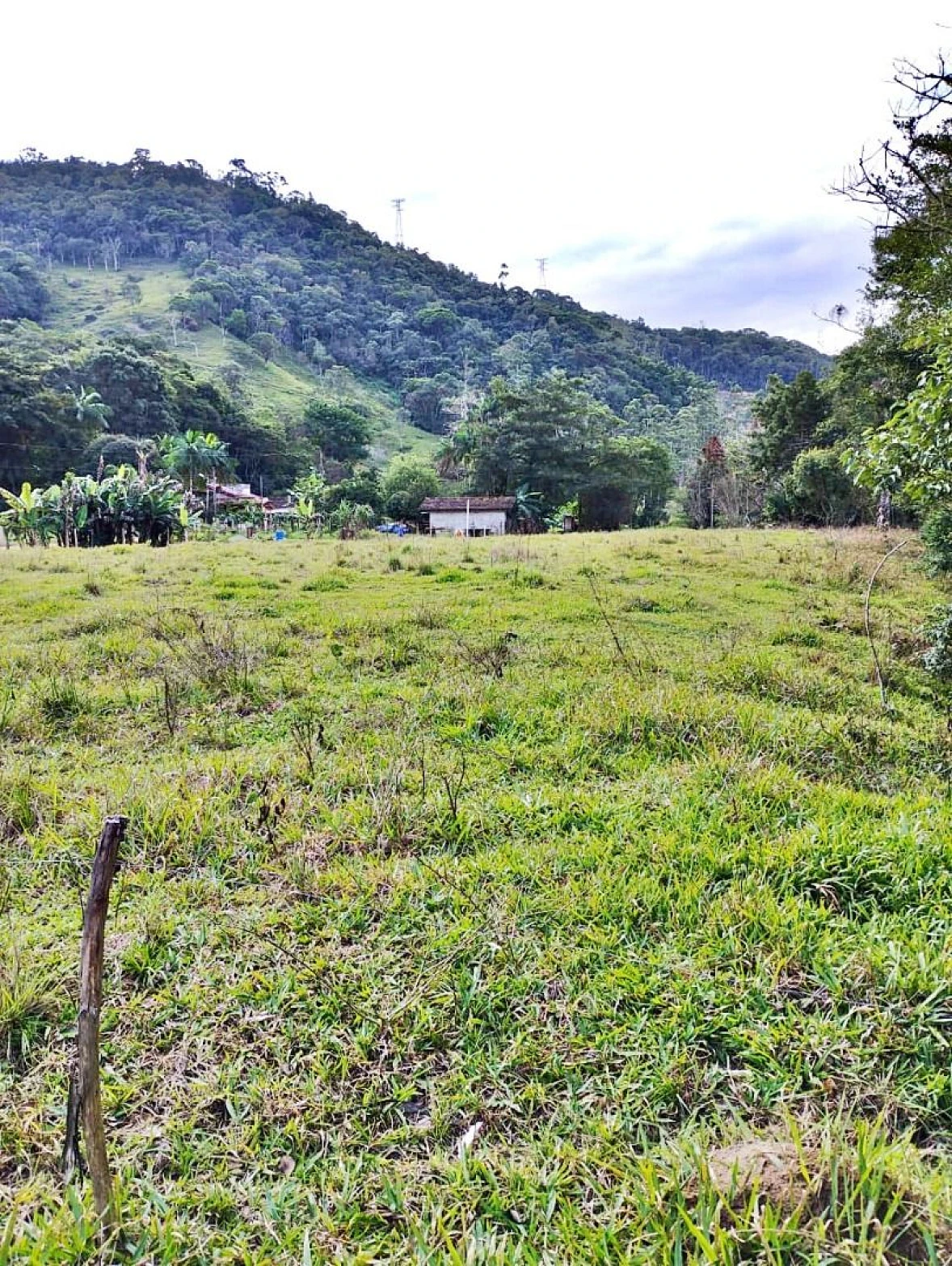 Sítio com 2 Dormitórios à Venda, 142000 m² - Angelina - Angelina/SC - Foto 17