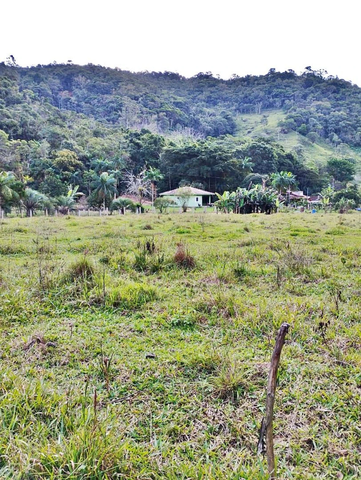 Sítio com 2 Dormitórios à Venda, 142000 m² - Angelina - Angelina/SC - Foto 19