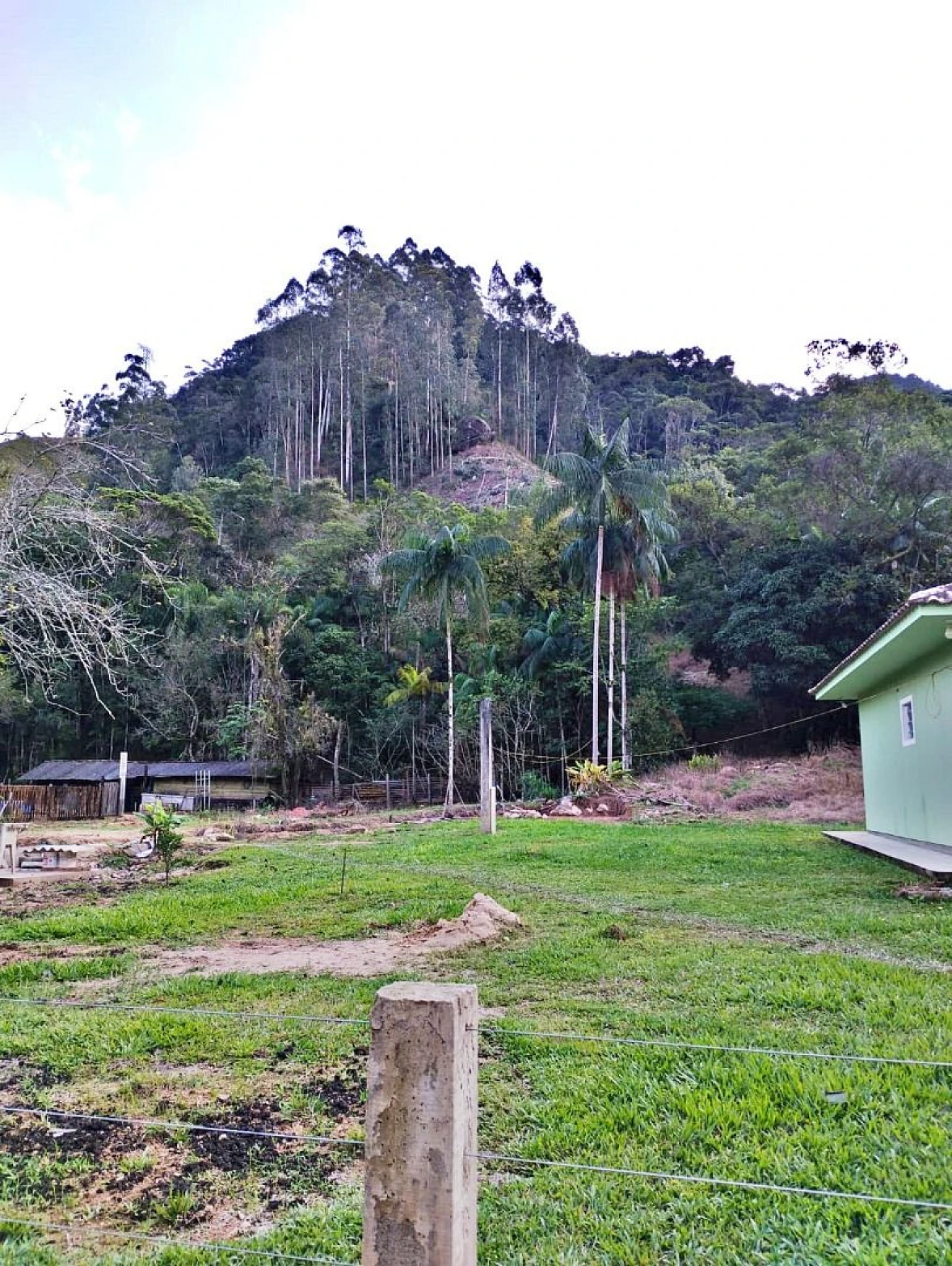 Sítio em Angelina, Angelina