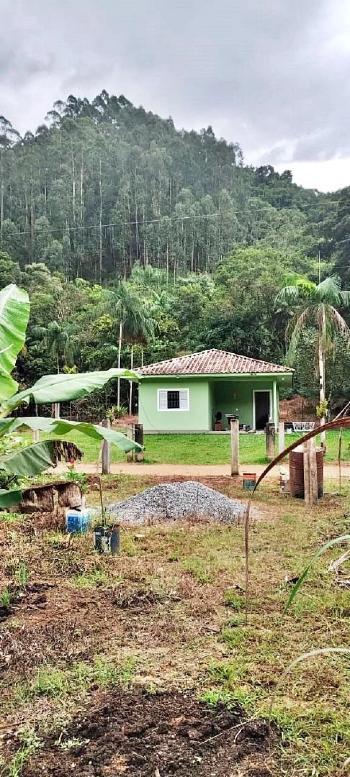 Sítio em Angelina, Angelina