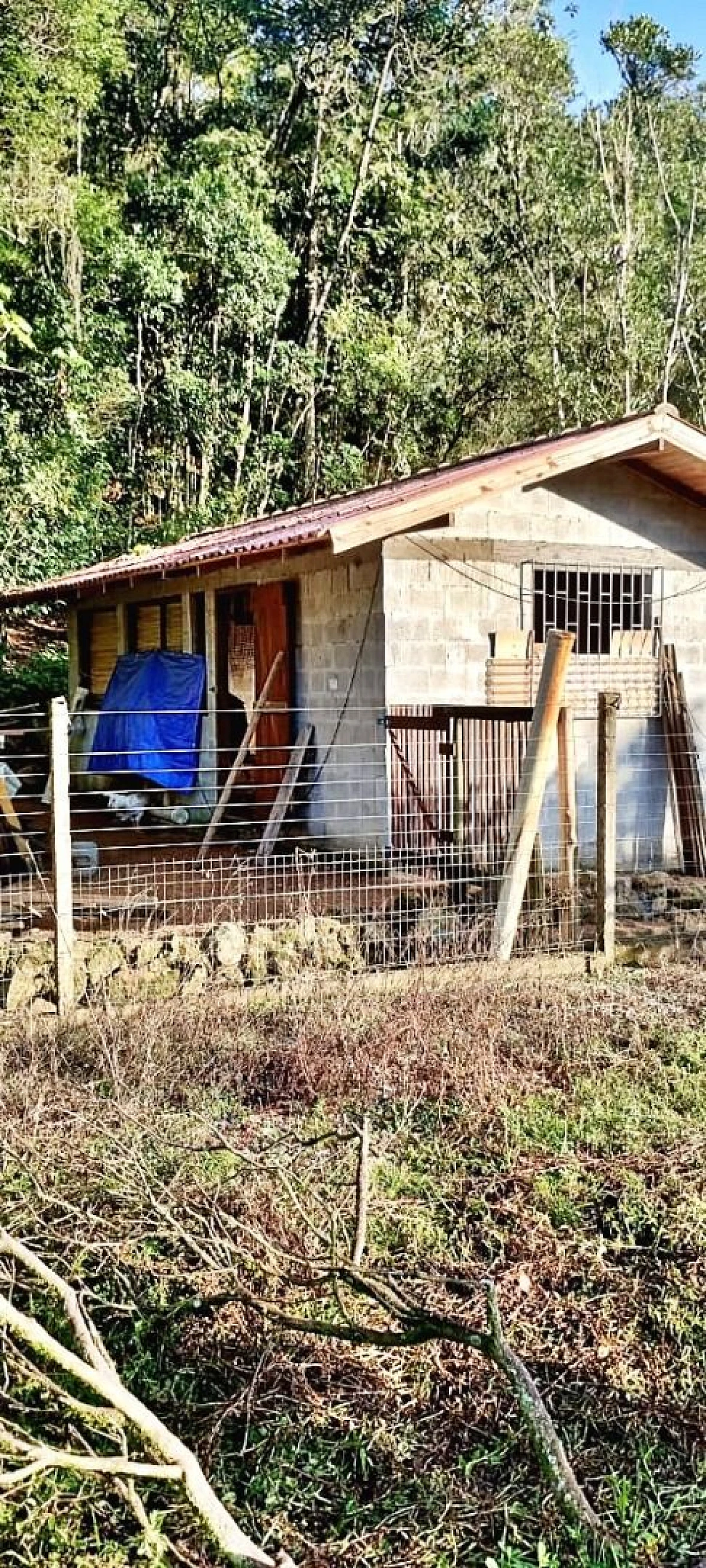 Sítio com 2 Dormitórios à Venda, 142000 m² - Angelina - Angelina/SC - Foto 7