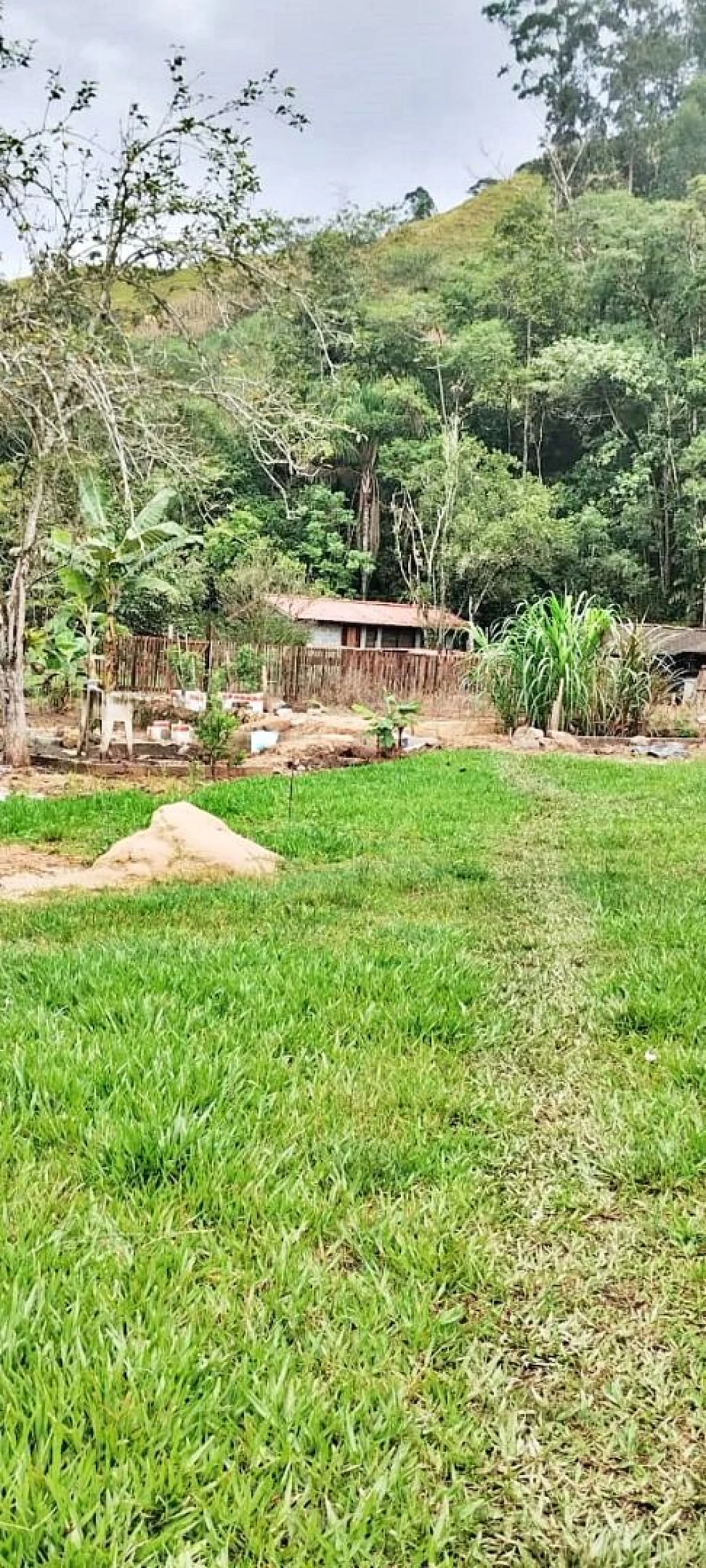 Sítio com 2 Dormitórios à Venda, 142000 m² - Angelina - Angelina/SC - Foto 9