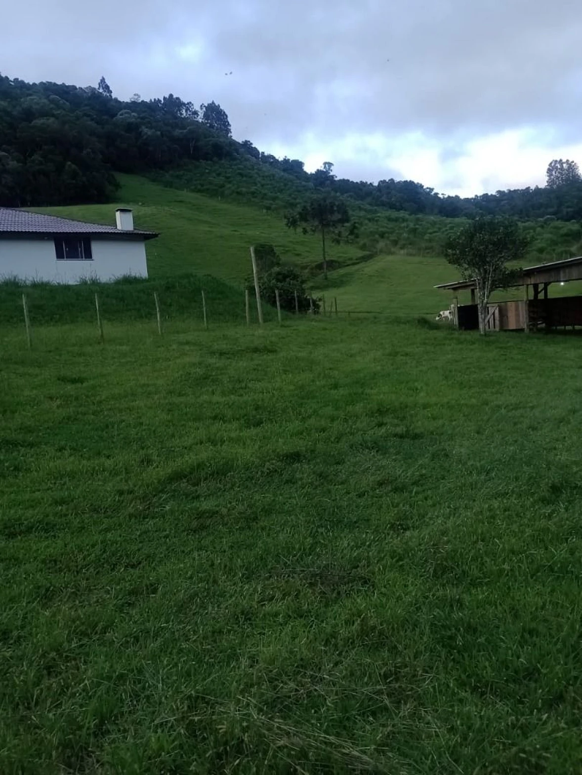 Sítio  à Venda - Alfredo Wagner/SC - Foto 14