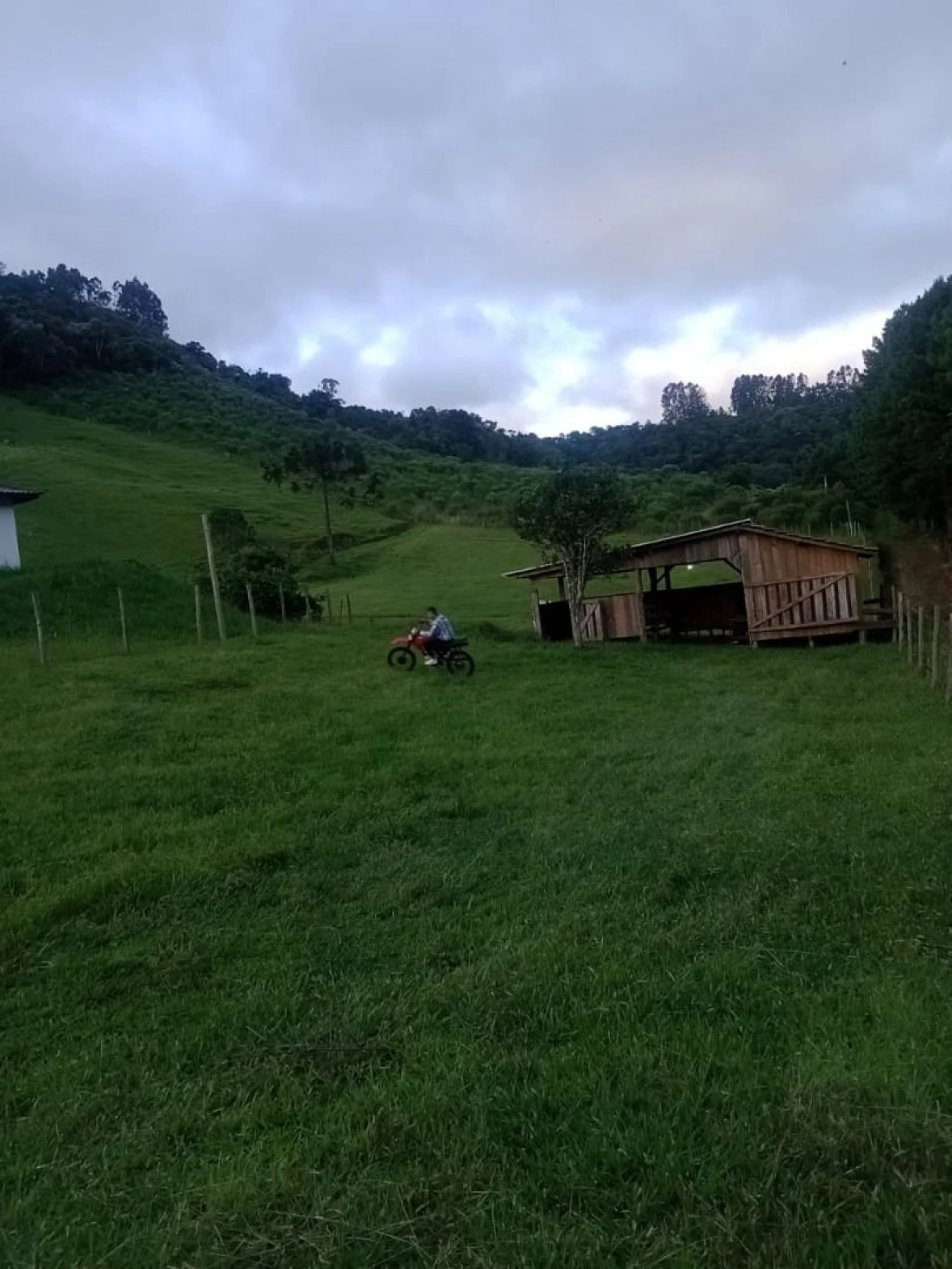 Sítio  à Venda - Alfredo Wagner/SC - Foto 15