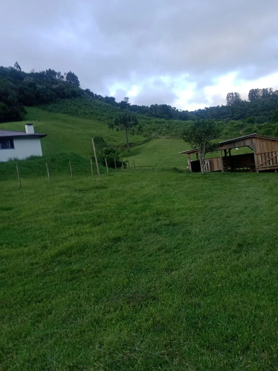 Sítio  à Venda - Alfredo Wagner/SC - Foto 21