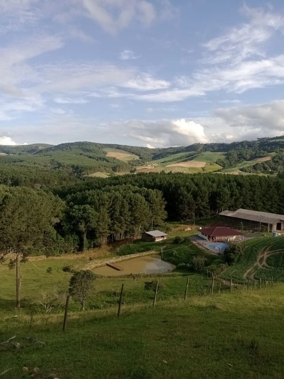 Sítio  à Venda - Alfredo Wagner/SC - Foto 22