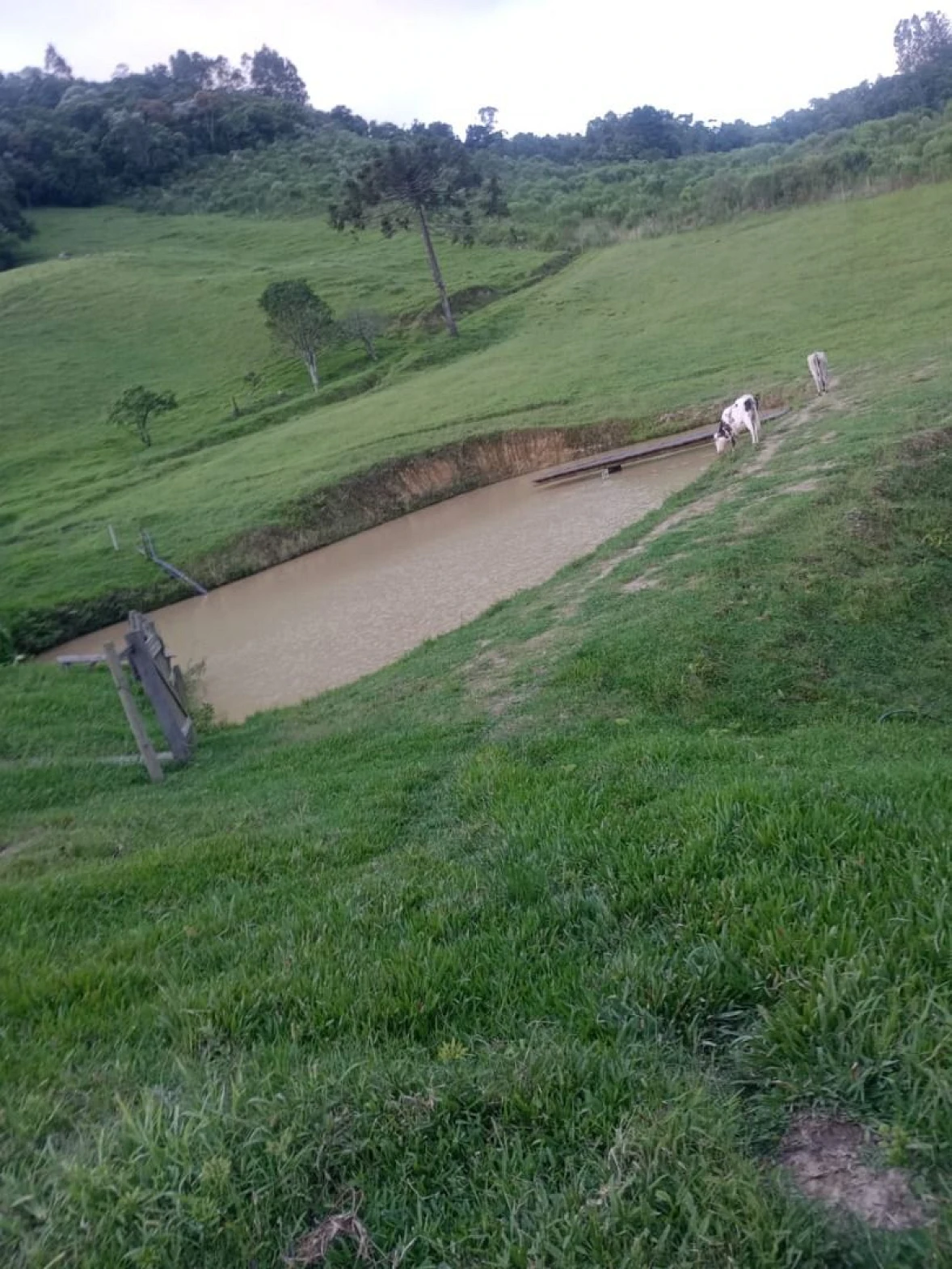 Sítio em Centro, Alfredo Wagner
