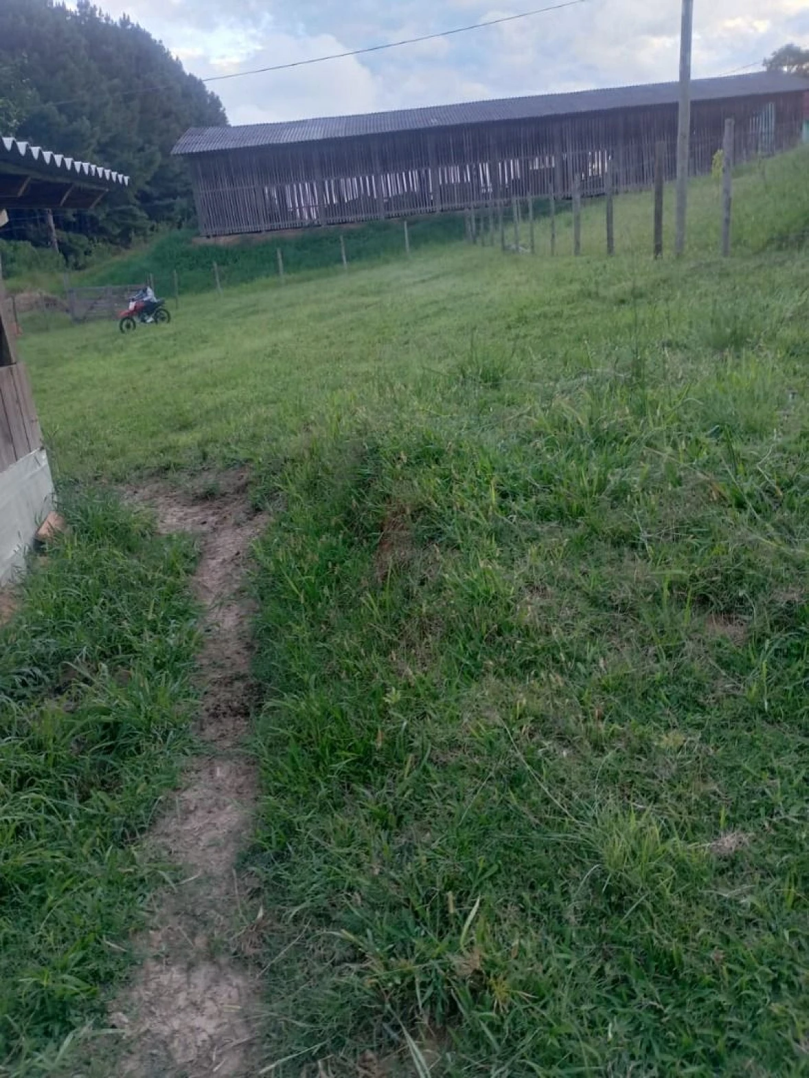 Sítio  à Venda - Alfredo Wagner/SC - Foto 7