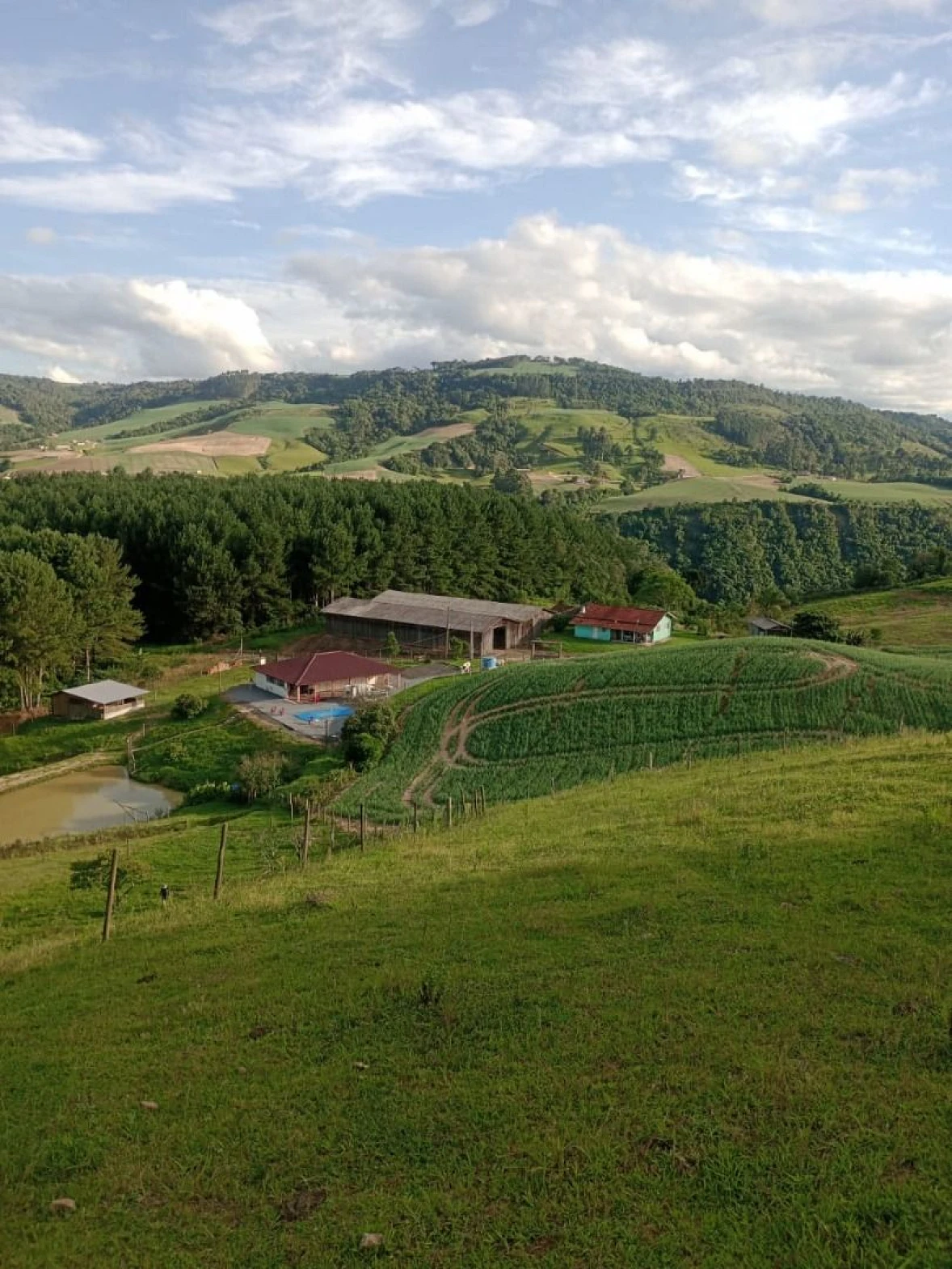 Sítio  à Venda - Alfredo Wagner/SC - Foto 9