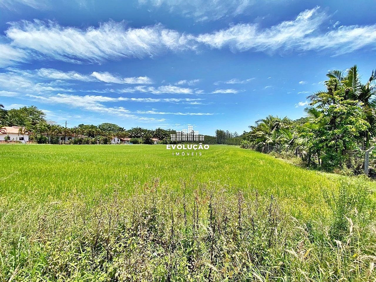 Sítio em Oliveira, Tijucas