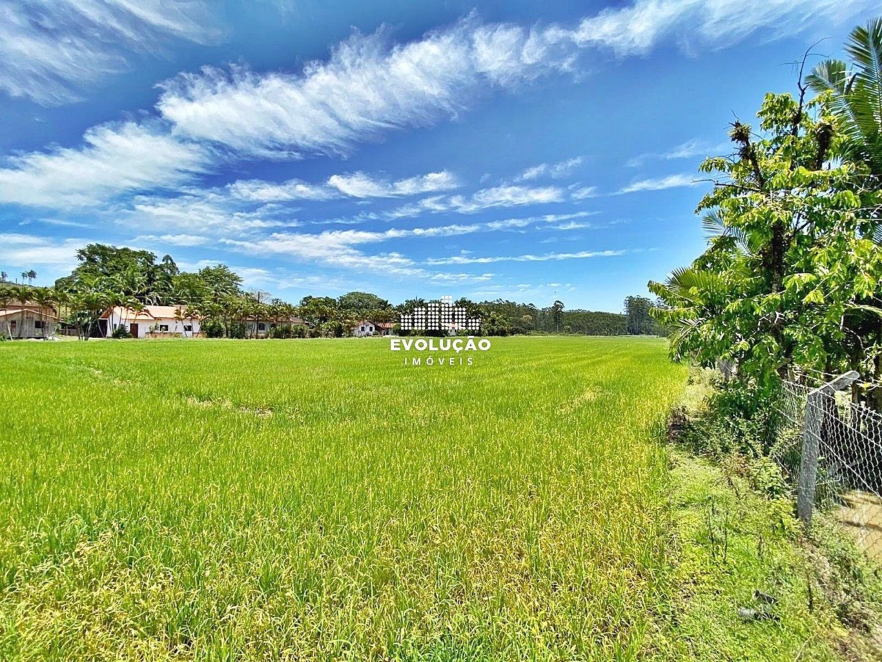 Sítio em Oliveira, Tijucas