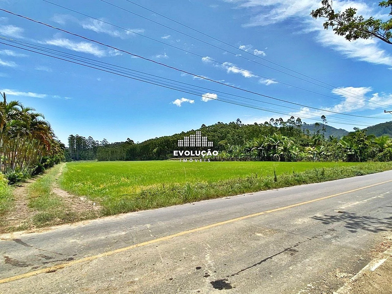 Sítio em Oliveira, Tijucas