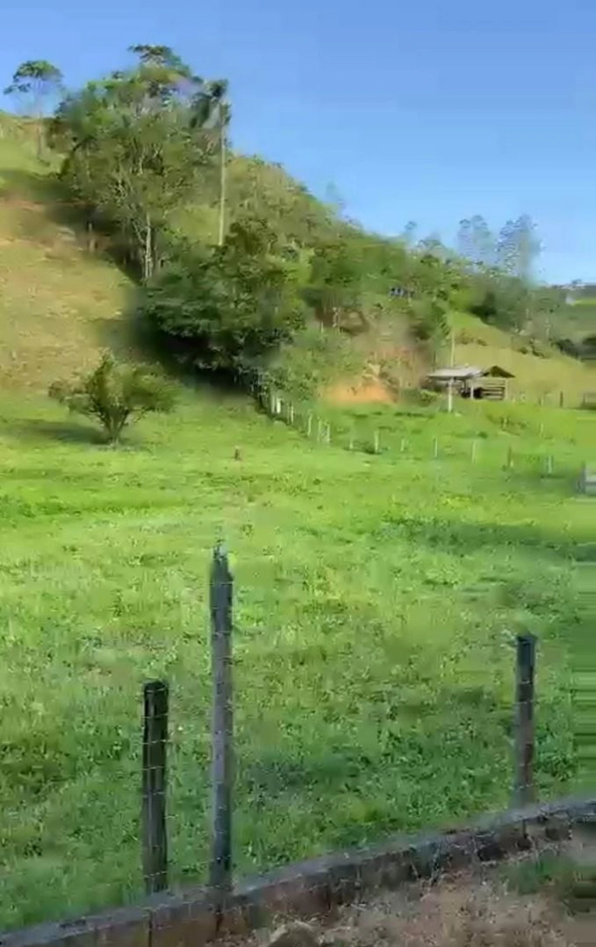 Chácara à Venda - Área Rural de Biguaçu - Biguaçu/SC - Foto 17