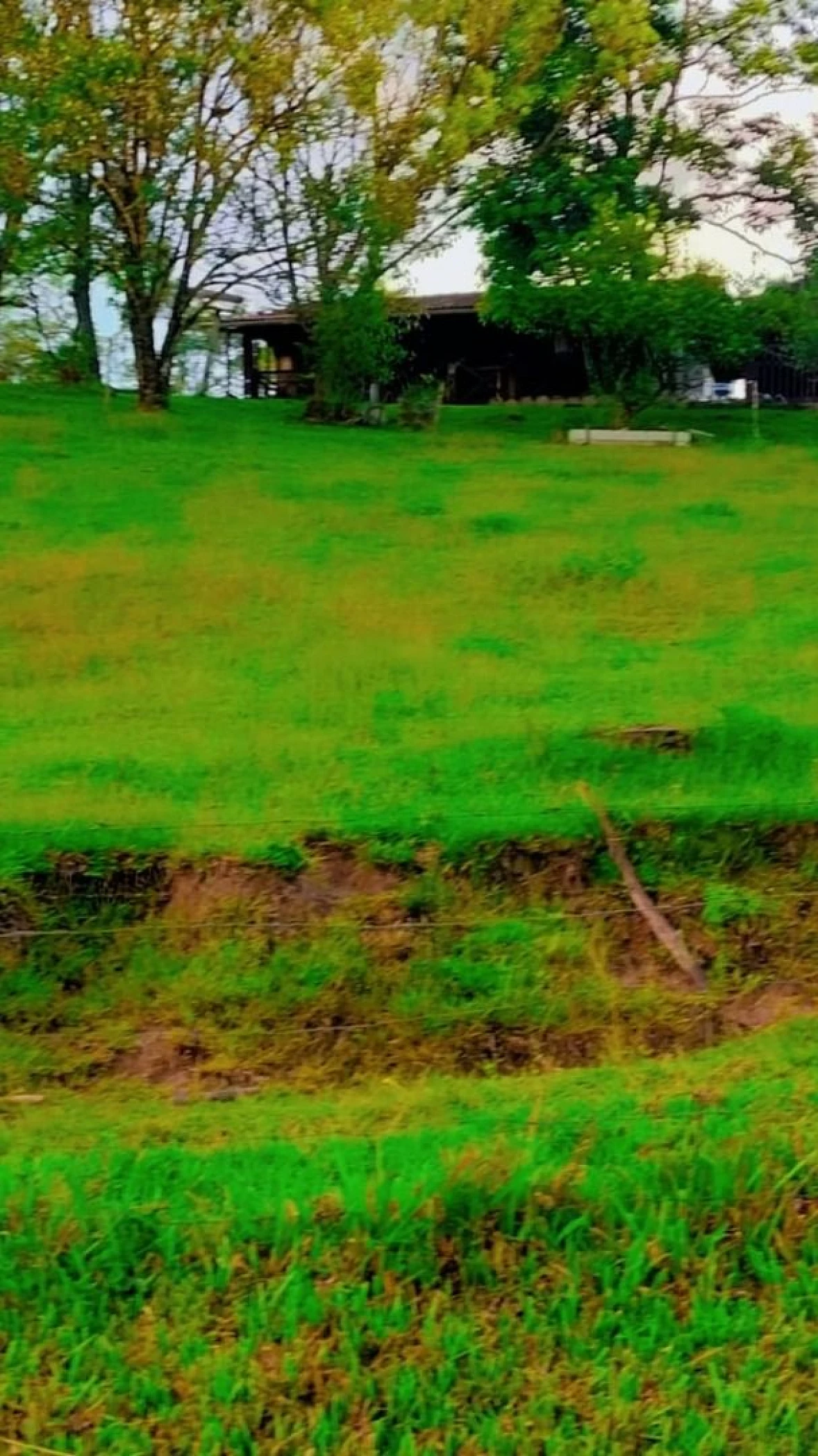 Chácara com 30.000 m² em Rancho Queimado/SC - Foto 6