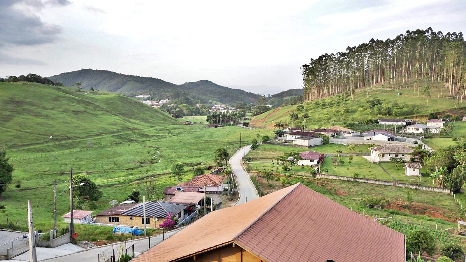Terreno à Venda, 2362 m²  - Centro - São Pedro de Alcântara/SC - Foto 6