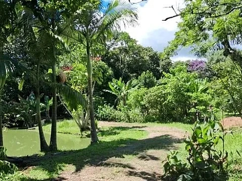 Chácara em Braço São João, Santo Amaro da Imperatriz