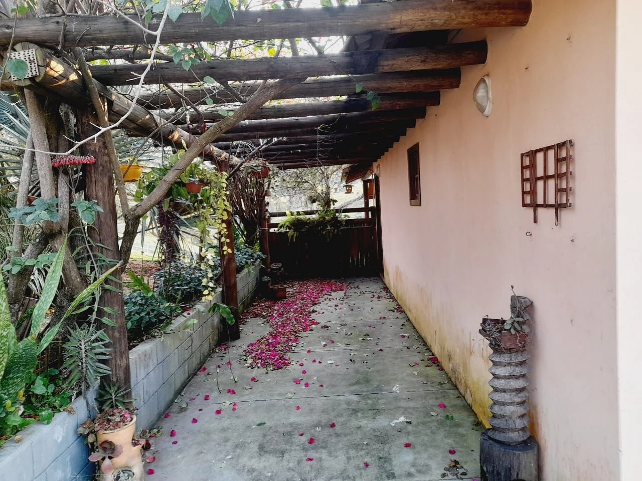Chácara à Venda  - Potecas - São José/SC - Foto 17