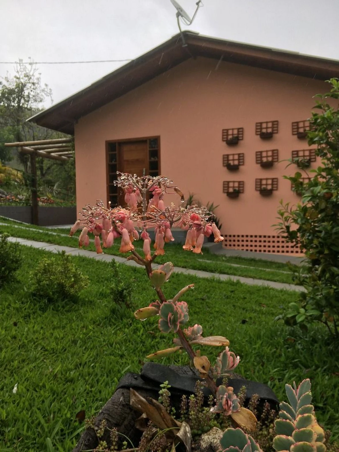 Chácara à Venda  - Potecas - São José/SC - Foto 22
