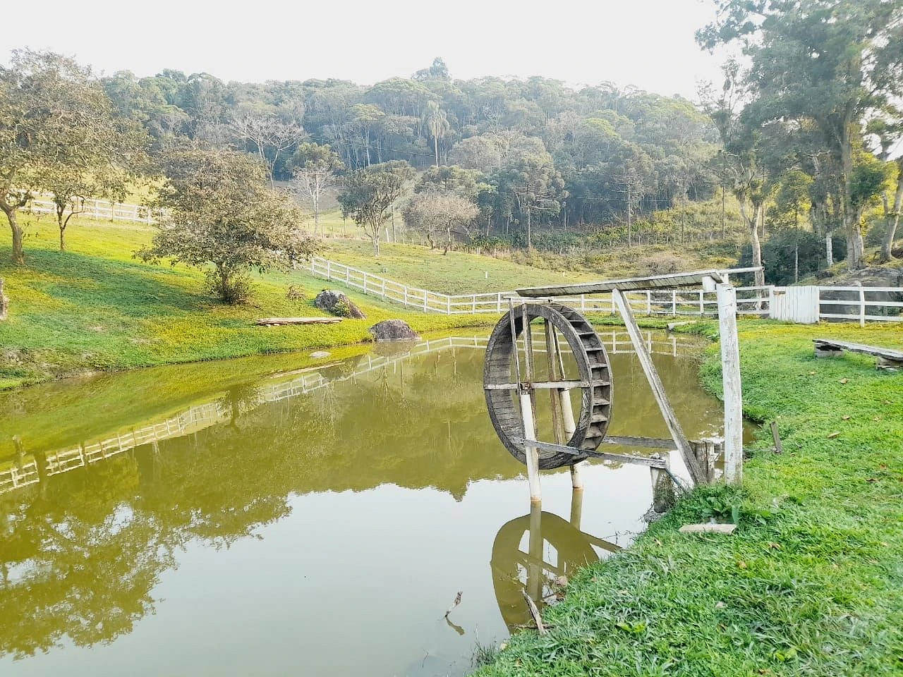 Chácara à Venda  - Potecas - São José/SC - Foto 37