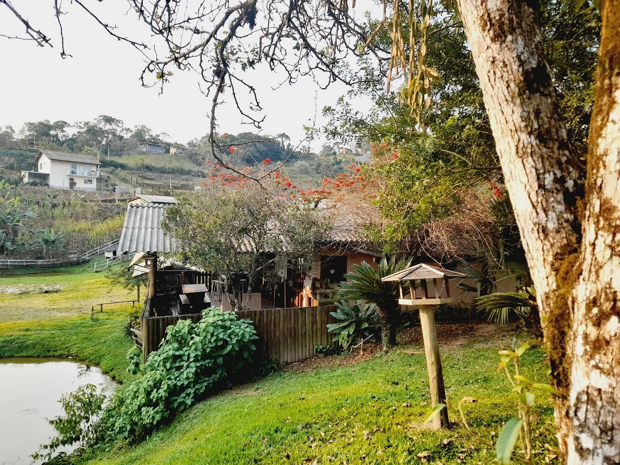 Chácara à Venda  - Potecas - São José/SC - Foto 38