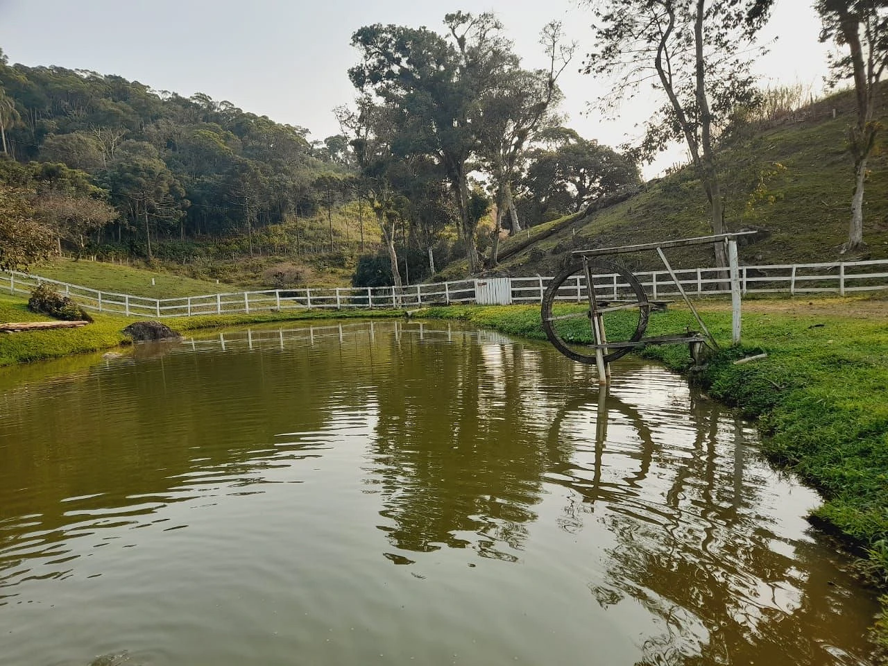 Chácara à Venda  - Potecas - São José/SC - Foto 43