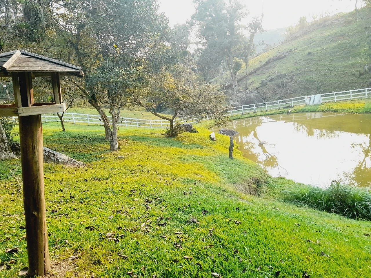 Chácara à Venda  - Potecas - São José/SC - Foto 48