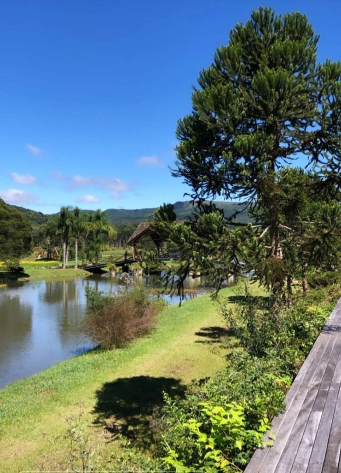 Terreno à Venda, Já com Projeto Aprovado 1000 M²- Invernadinha - Rancho Queimado/SC - Foto 18