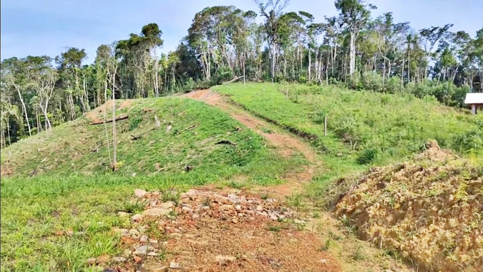 Terreno com 24.217 m² - Barro Branco - São Pedro de Alcântara - Foto 15