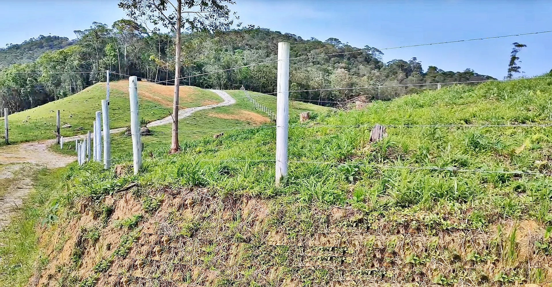 Terreno em Centro, São Pedro de Alcântara