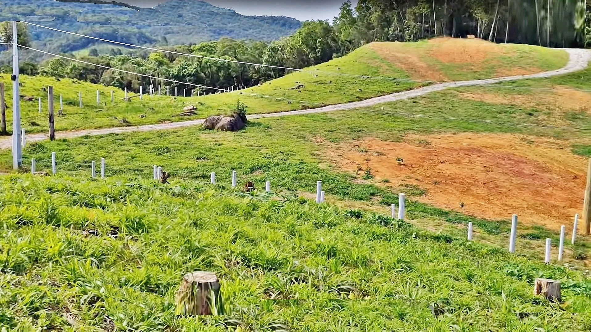 Terreno em Centro, São Pedro de Alcântara