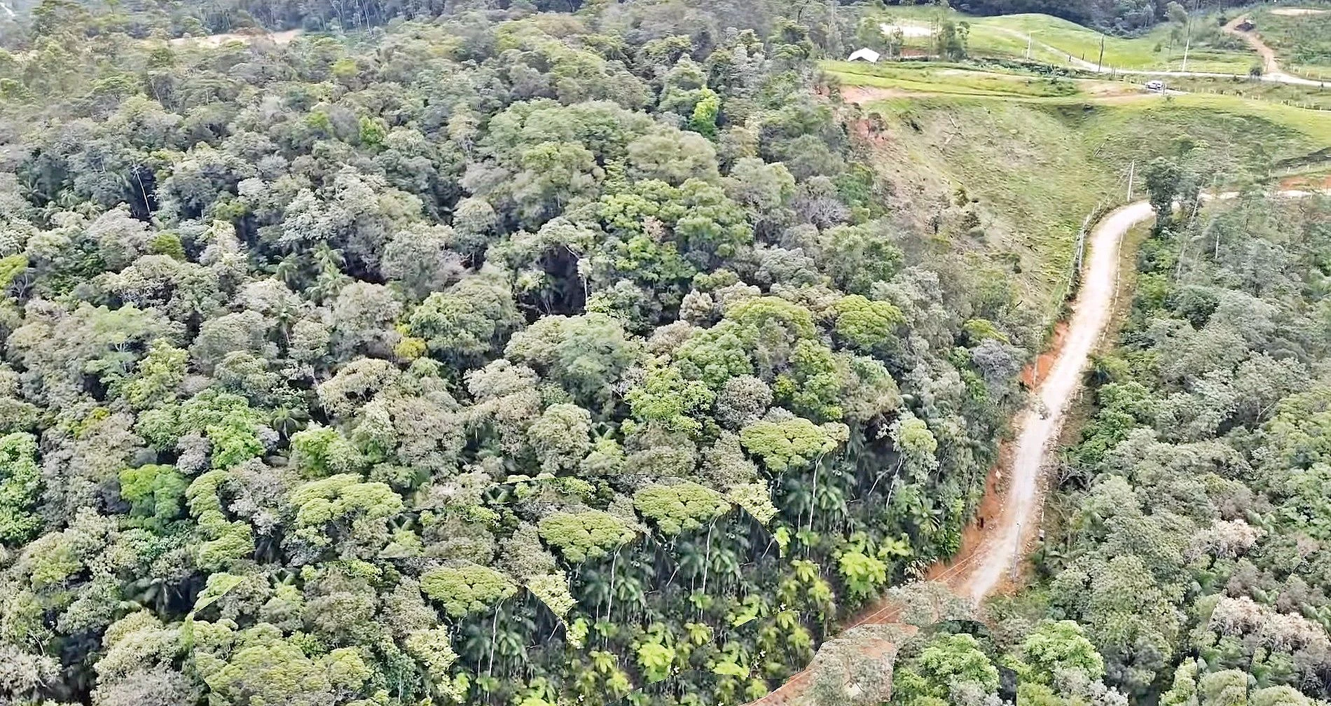 Terreno com 24.217 m² - Barro Branco - São Pedro de Alcântara - Foto 6