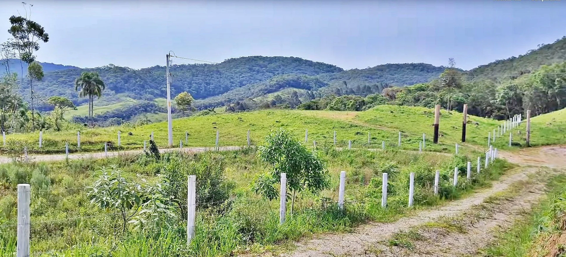 Terreno com 24.217 m² - Barro Branco - São Pedro de Alcântara - Foto 8