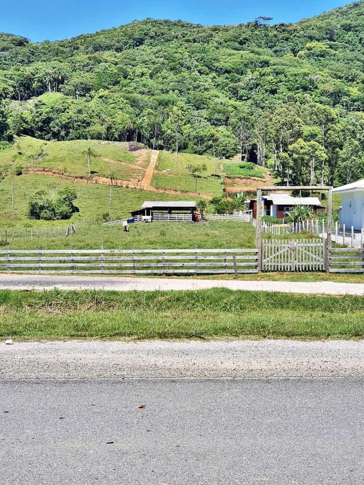 Terreno, 3.000 M²,  Escritura - Colônia Santana - Foto 10