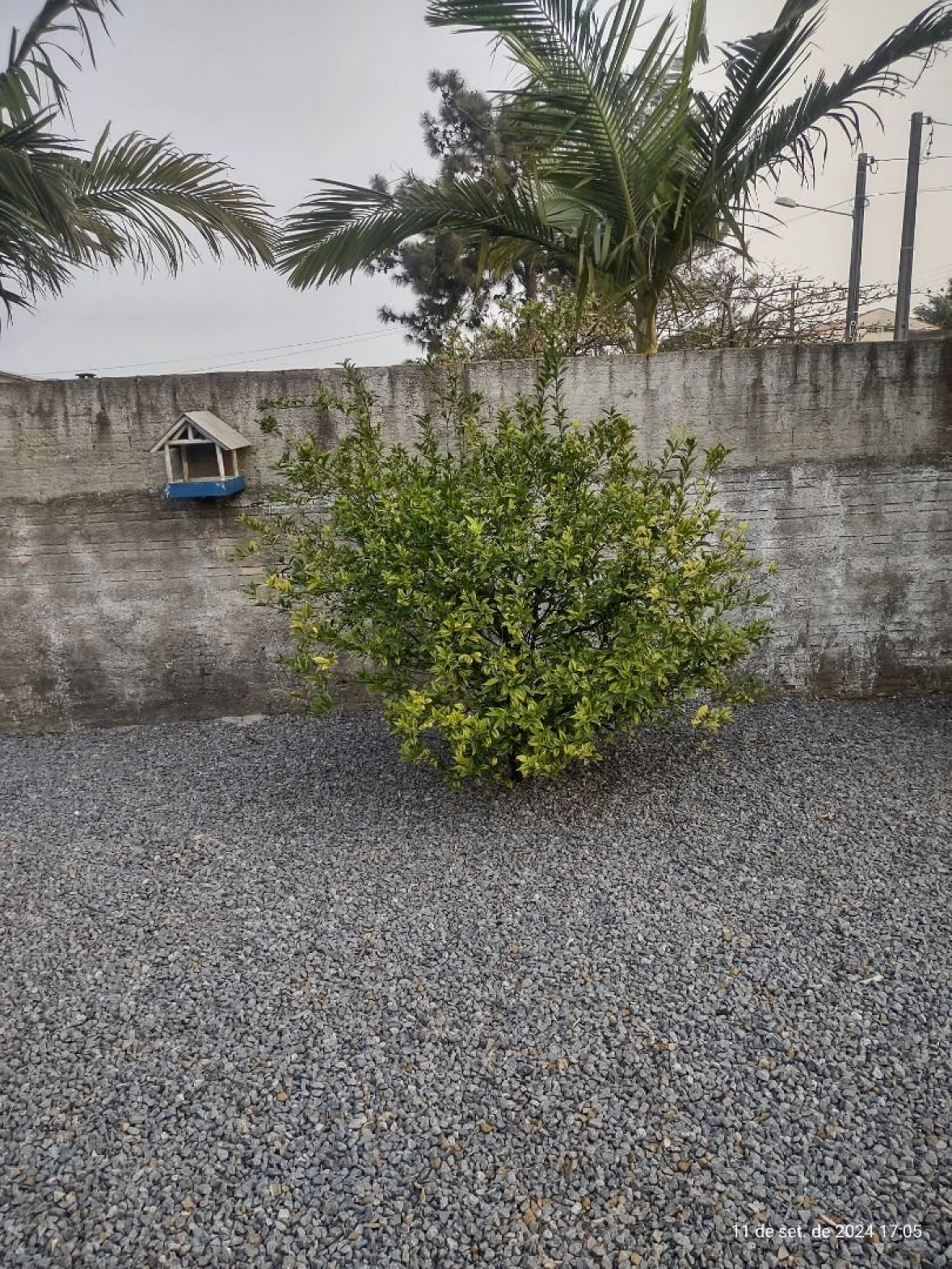 Casa a Venda  - Maciambú (Ens Brito) - Palhoça/SC - Foto 11