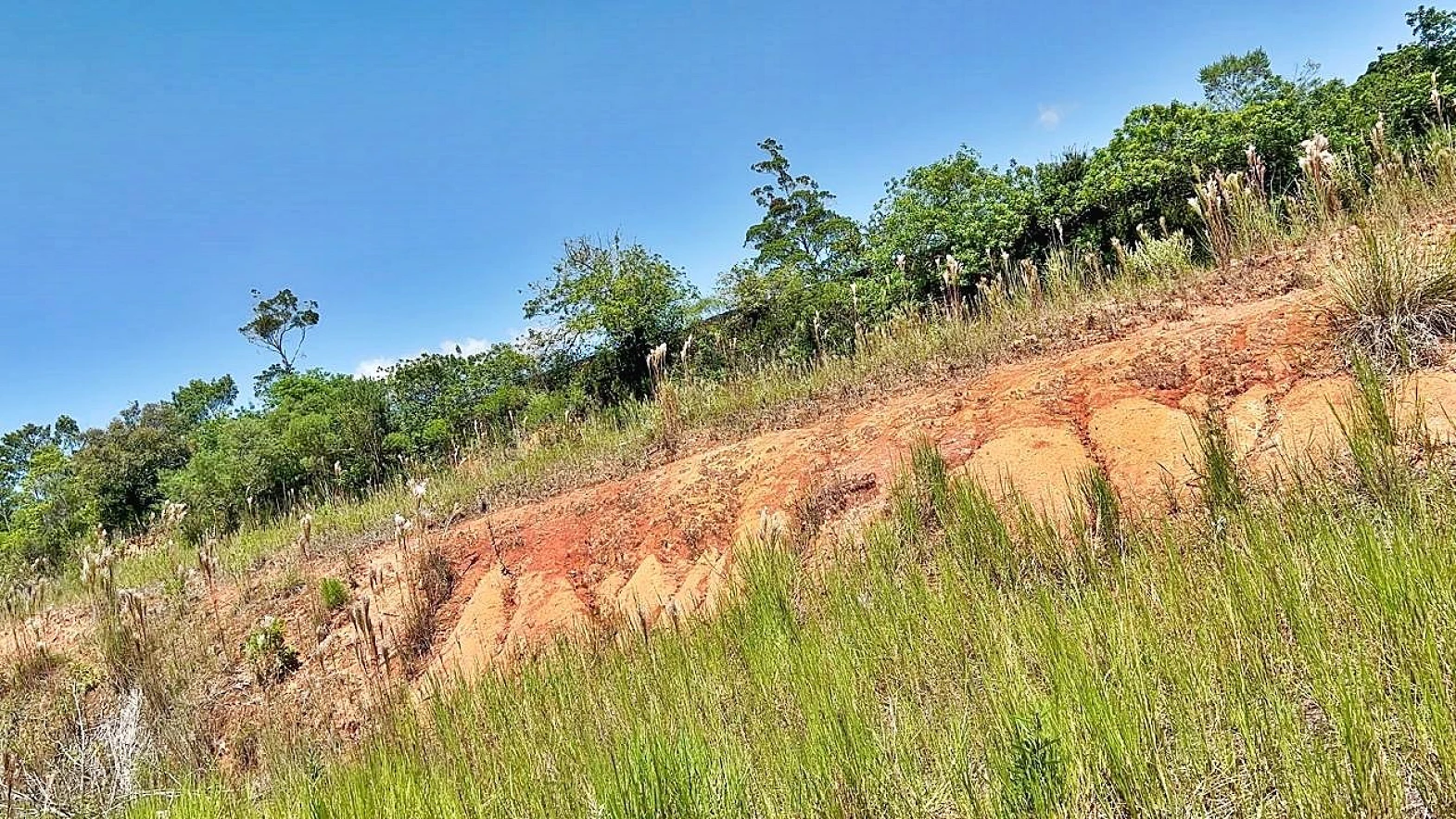 Terreno em Forquilhas, São José