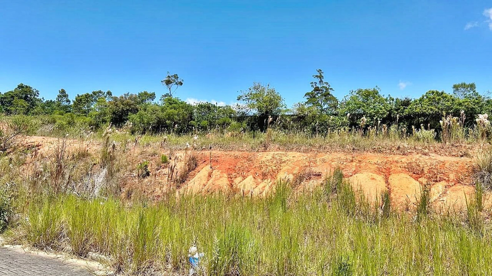 Terreno 1.560 M², Escritura - Forquilhas - Foto 8