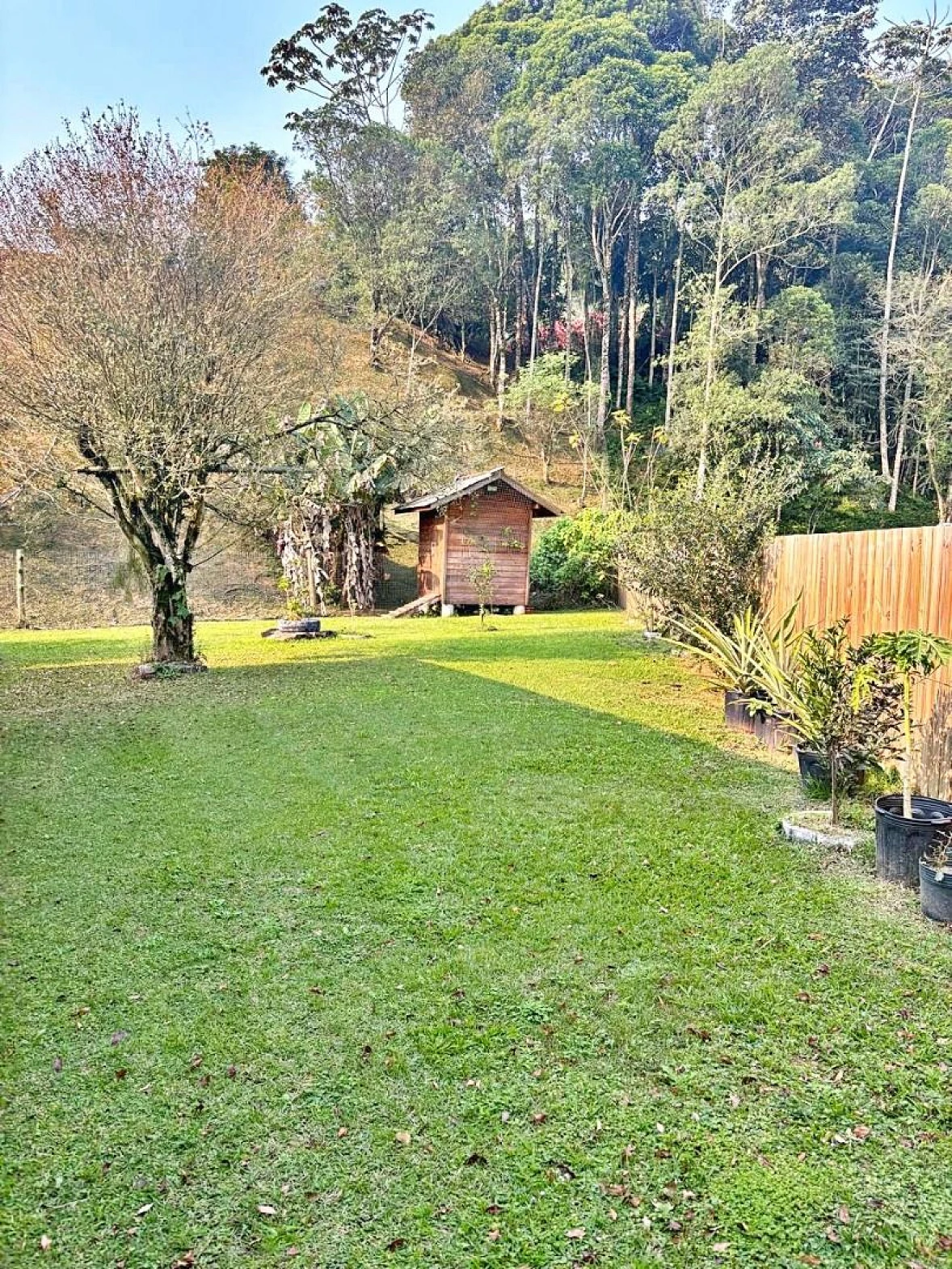 Sítio com 2 Dormitórios à Venda, 2987 m² por R$ 745.000,00 - Russia - Biguaçu/SC - Foto 23