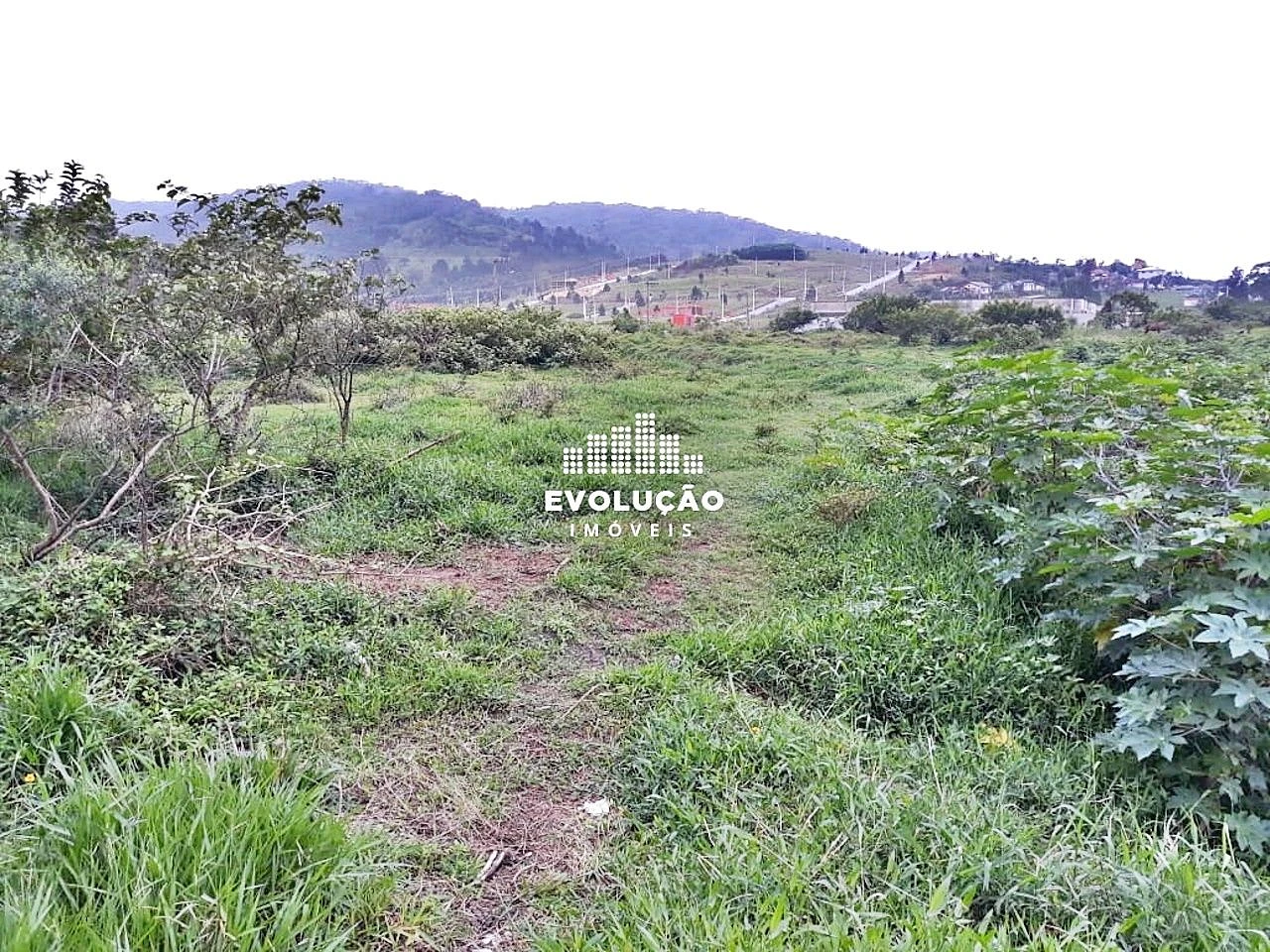 Terreno 8.398,00 M²- Potecas São José - Foto 10
