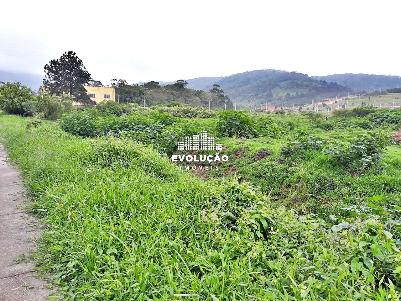 Terreno 8.398,00 M²- Potecas São José - Foto 12