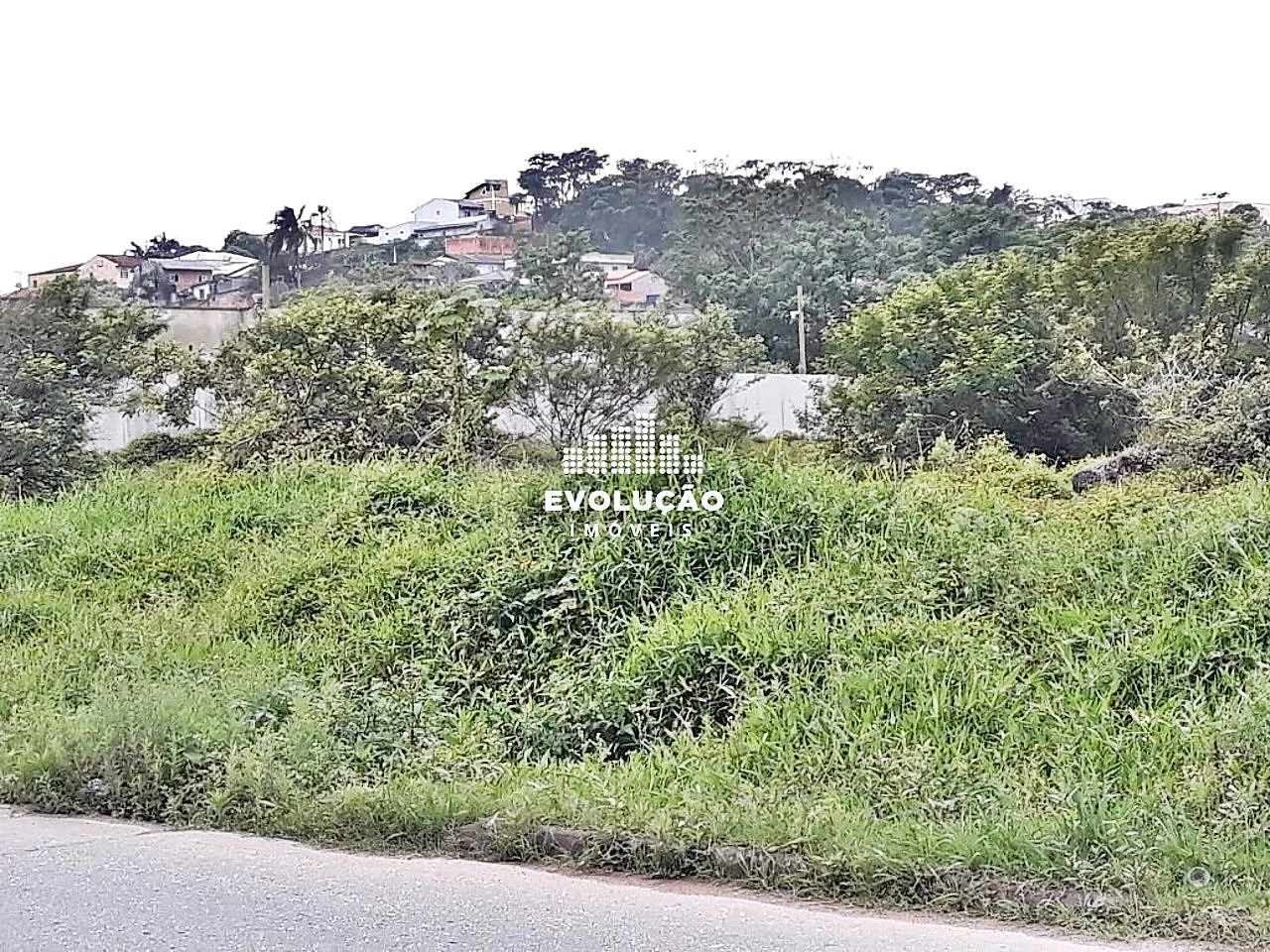 Terreno 8.398,00 M²- Potecas São José - Foto 14