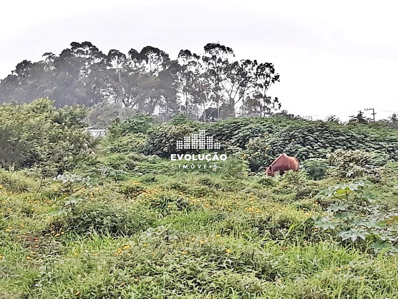 Terreno em Potecas, São José