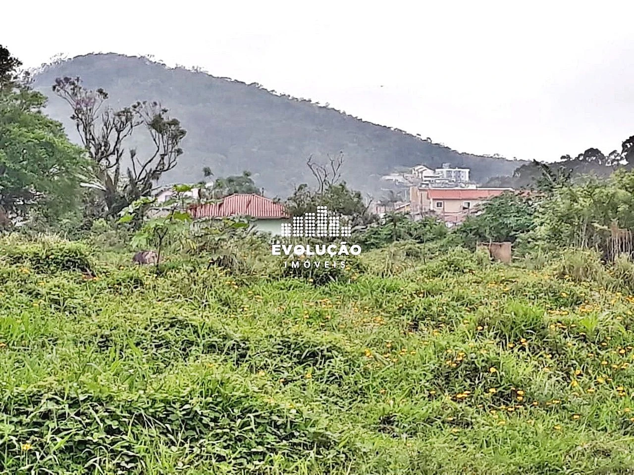 Terreno 8.398,00 M²- Potecas São José - Foto 6