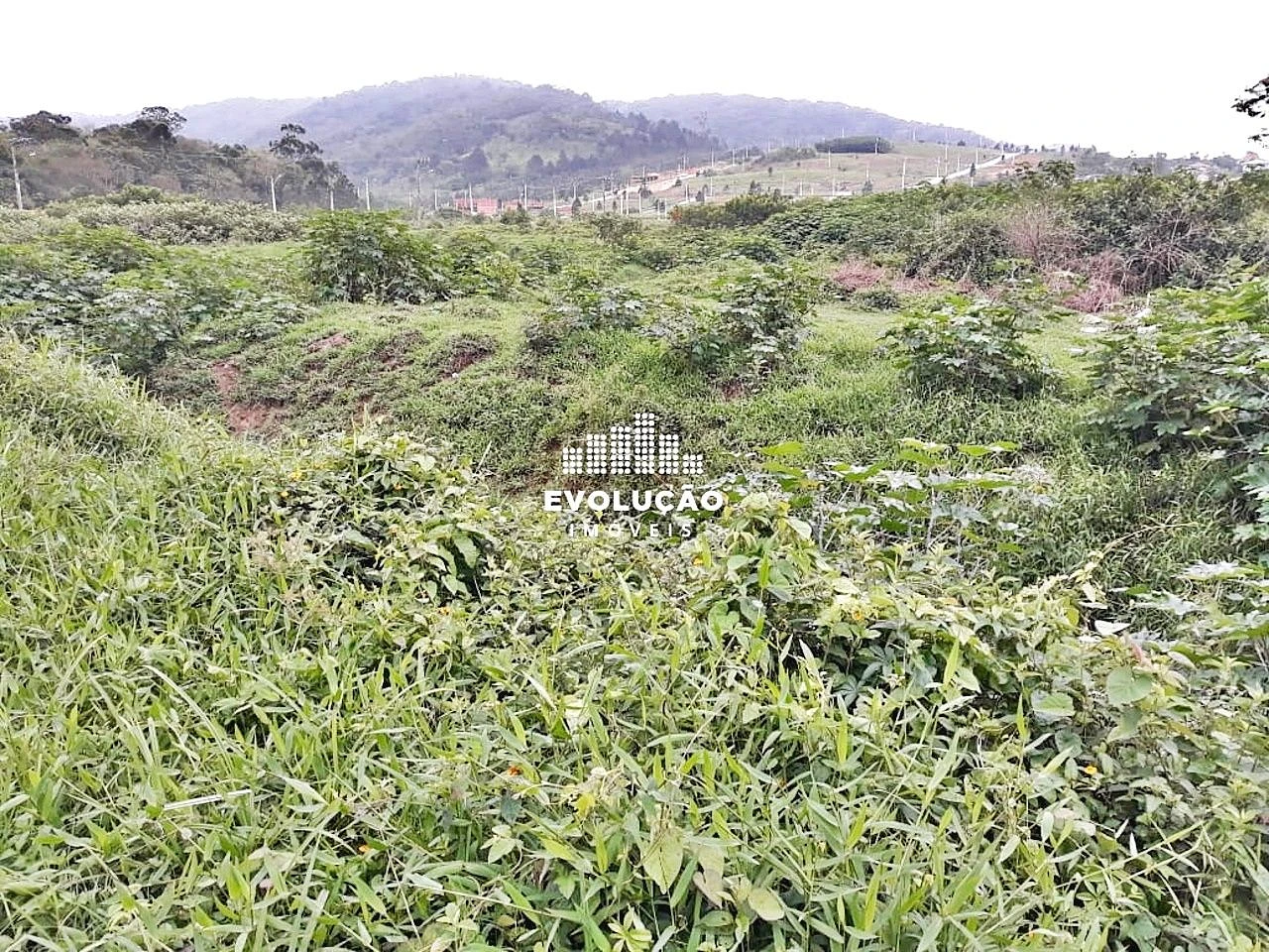 Terreno 8.398,00 M²- Potecas São José - Foto 7