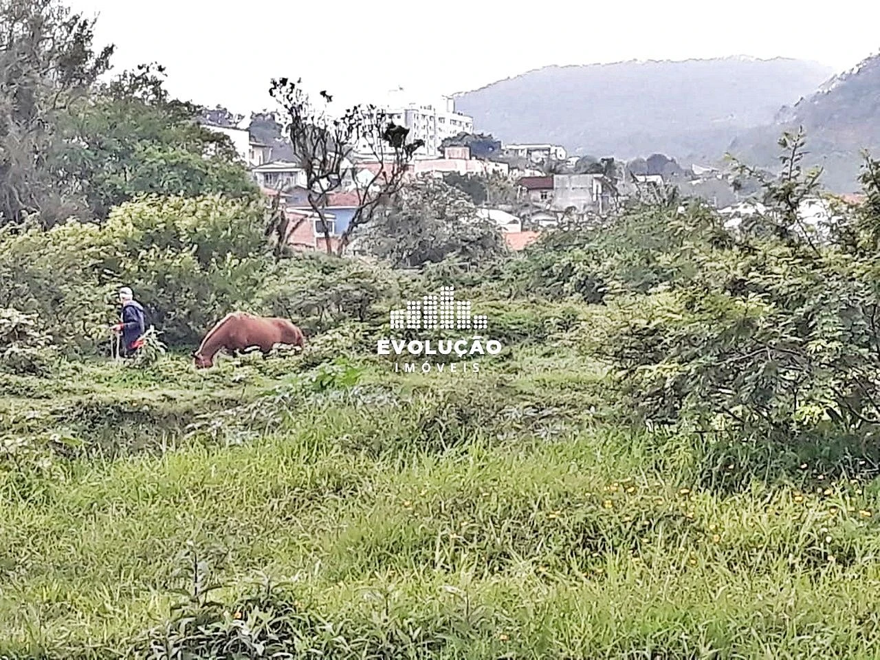 Terreno 8.398,00 M²- Potecas São José - Foto 8