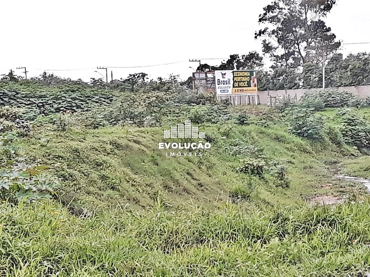 Terreno 8.398,00 M²- Potecas São José - Foto 9