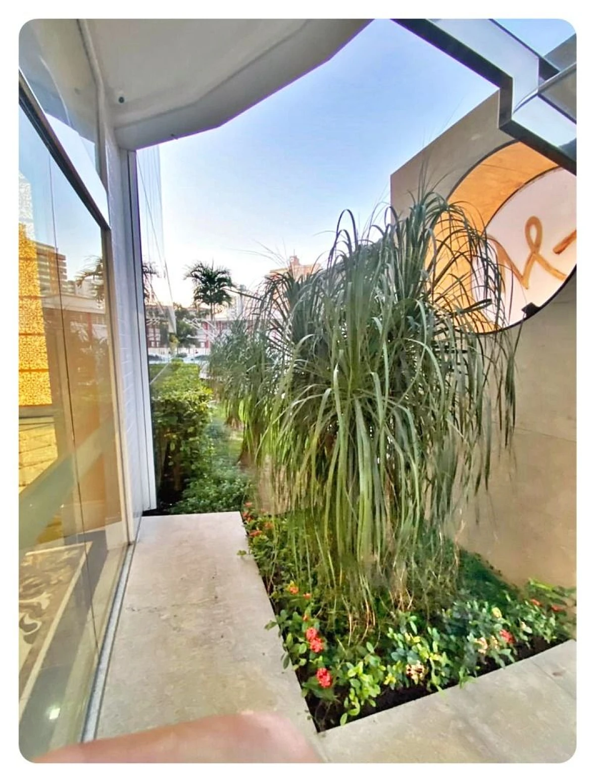 Apartamento em Campinas, São José