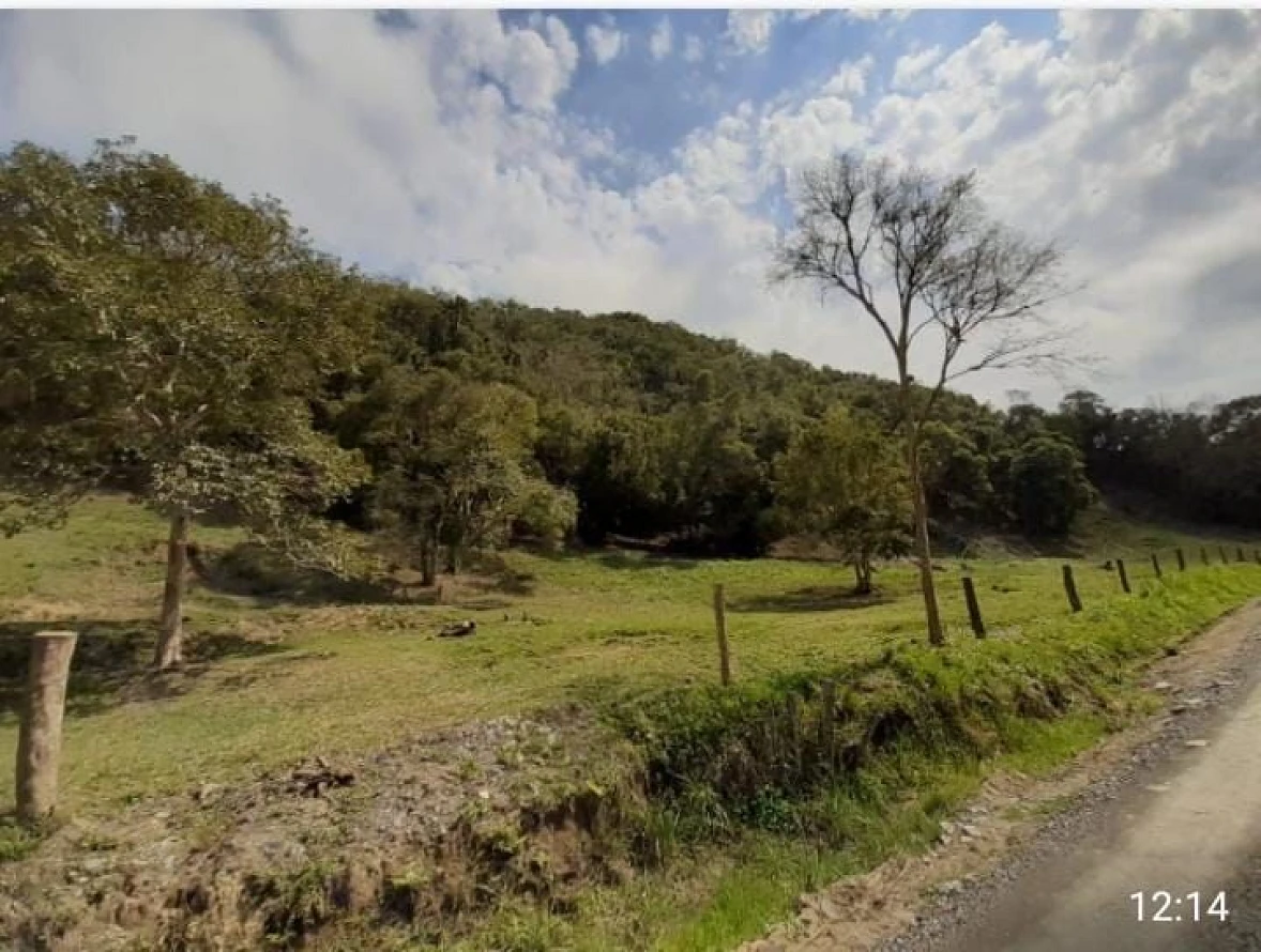 Sítio  Zona Rural- Alfredo Wagner/SC - Foto 16