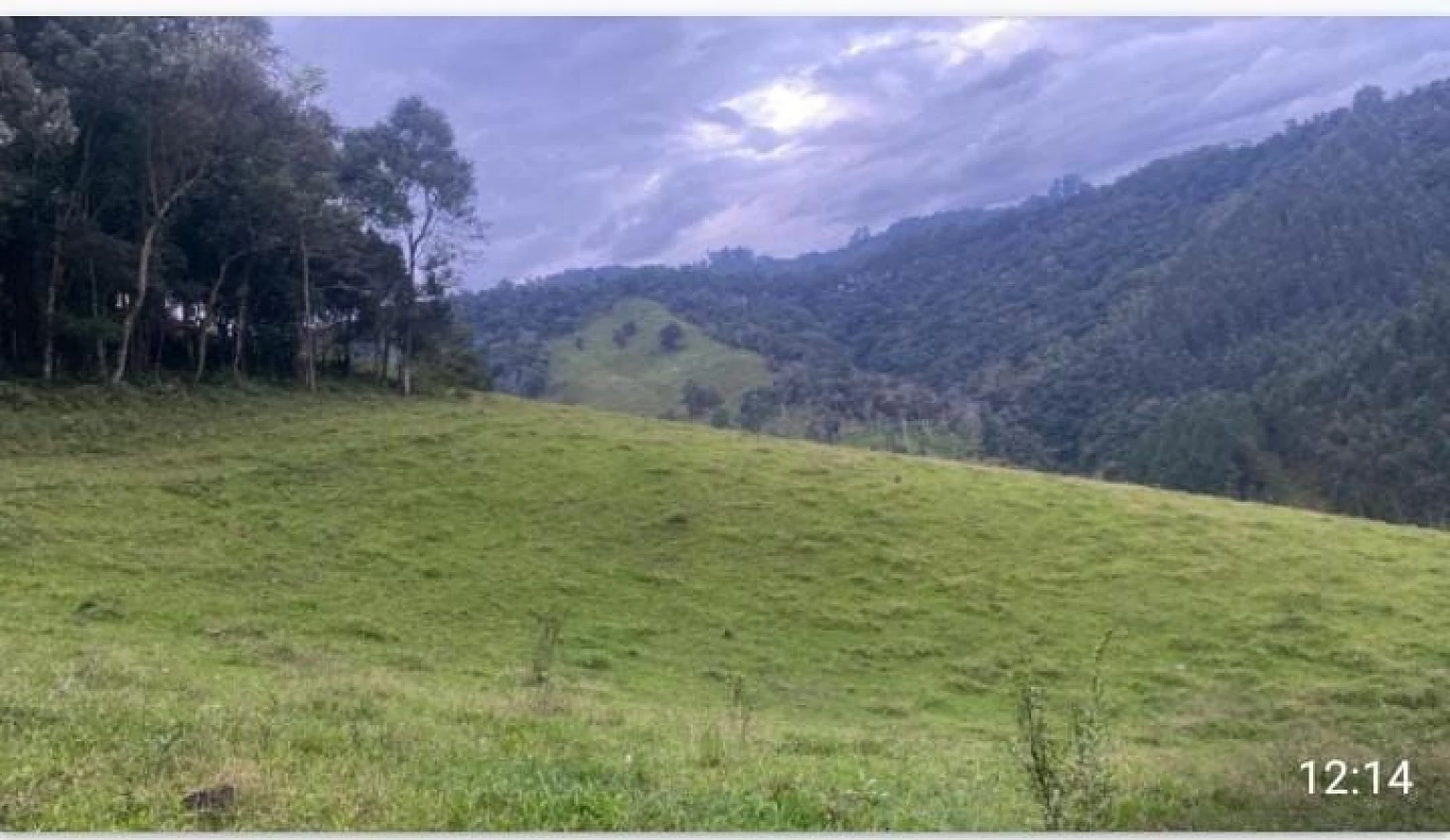Sítio  Zona Rural- Alfredo Wagner/SC - Foto 8
